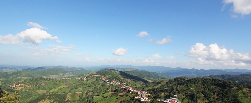 Doi Mae Salong